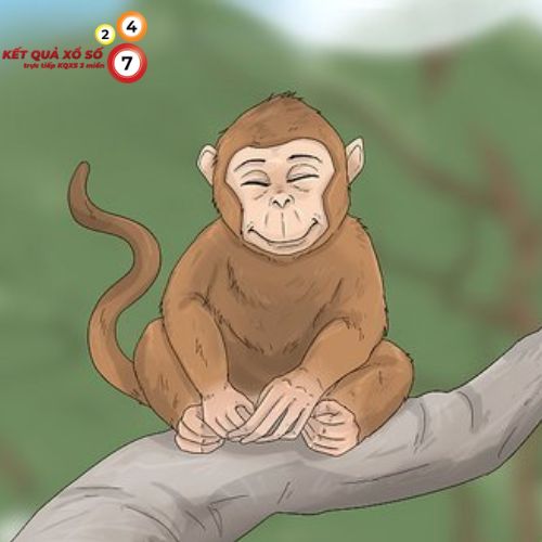 Ý nghĩa của việc mơ thấy khỉ