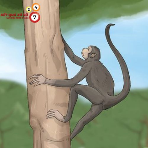 Mơ thấy khỉ leo cây điềm báo cực kỳ tích cực