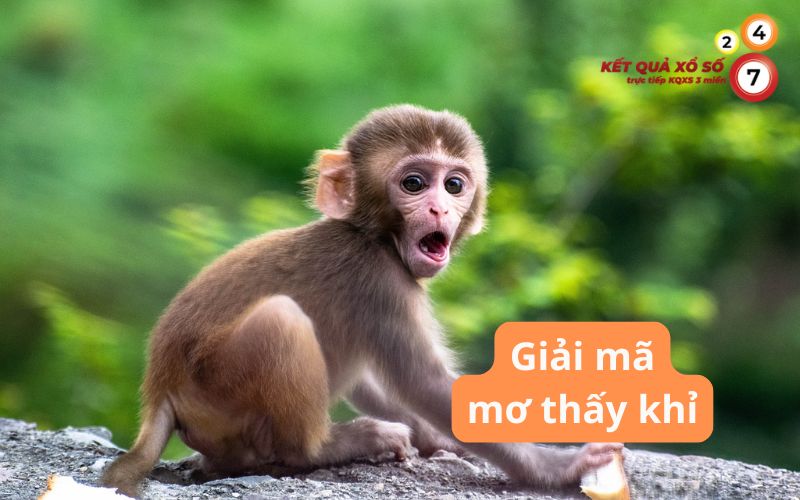 Giải mã nằm mơ thấy khỉ