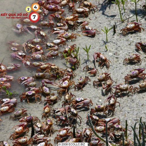 Đi đúng hướng, triển khai dự án quan trọng