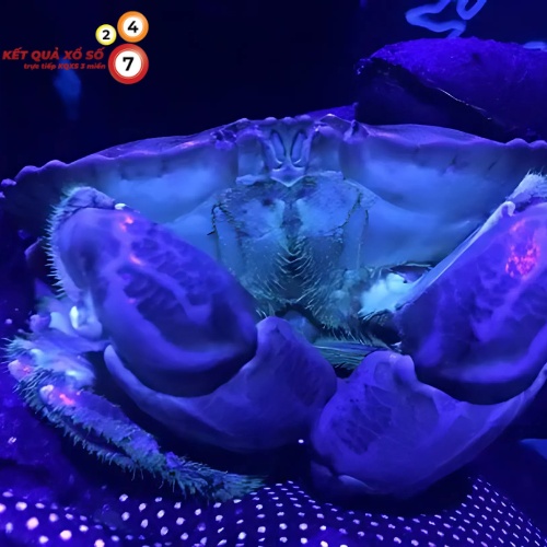 Thích nghi, sáng tạo, đừng đánh giá thấp bản thân