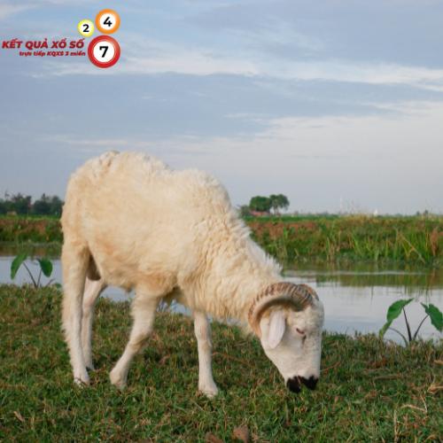 Dê ăn cỏ trong mơ – Dấu hiệu của sự an yên và ổn định