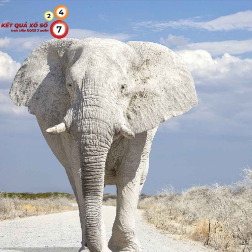 Thu hút năng lượng tích cực, dự án quan trọng