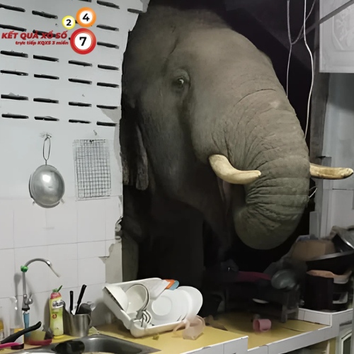 Thay đổi tích cực gia đình, khởi đầu thuận lợi