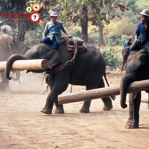 Khao khát chỗ dựa, nhận hậu thuẫn, tình người