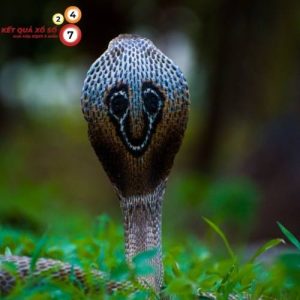 Lời cảnh báo về trở ngại cần đối mặt, đừng bỏ cuộc