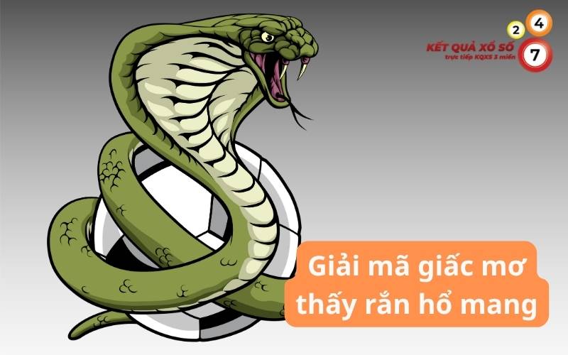 Bí ẩn đằng sau giấc mơ nằm mơ thấy rắn hổ mang – điềm lành hay dữ? Đừng bỏ lỡ!